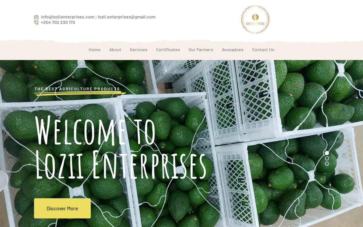 Screenshot of Lozii Enterprises